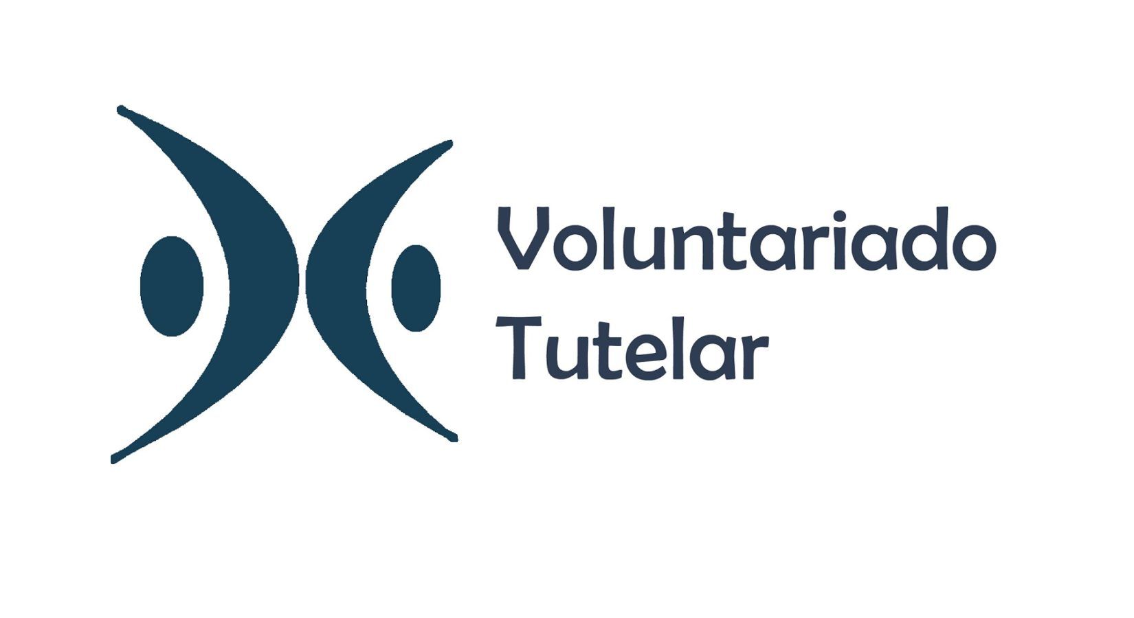 VT logoletra2 1