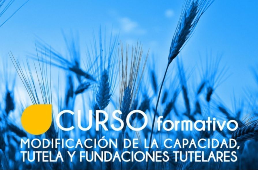 Curso tutela 1