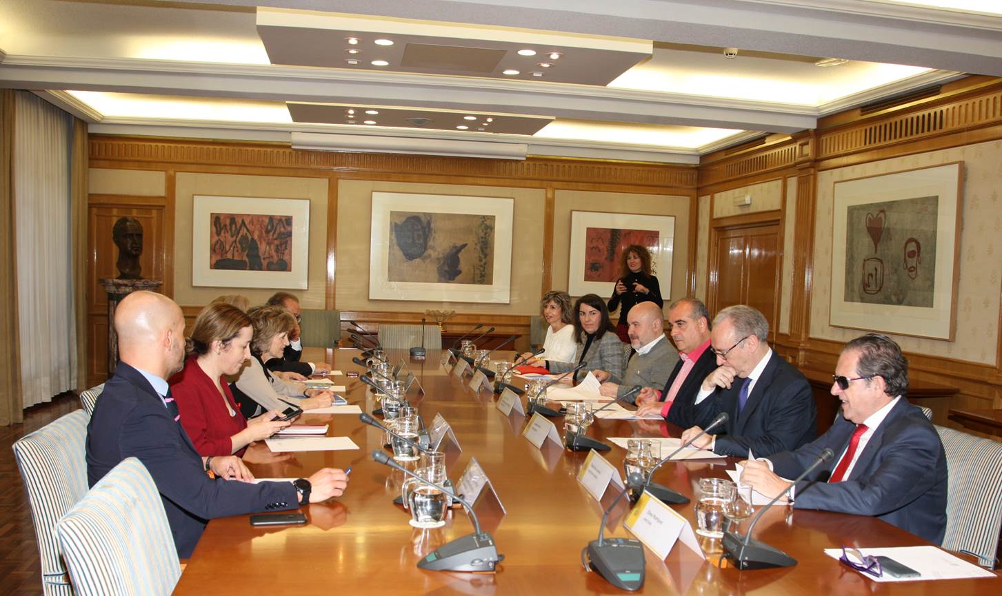 Foto encuentro Plataforma del Tercer Sector y Ministerio Sanidad Consumo y Bienestar Social