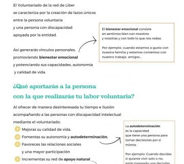 Voluntariado 360x320