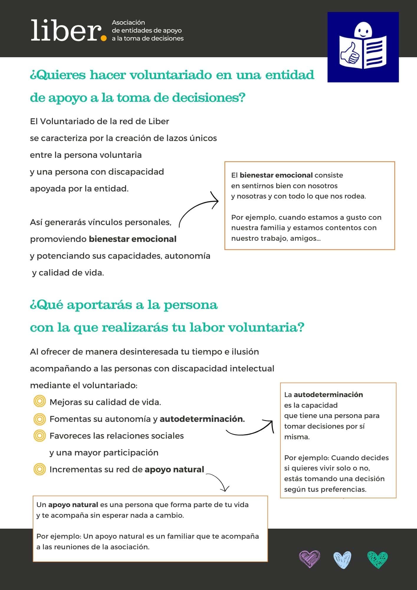 Voluntariado