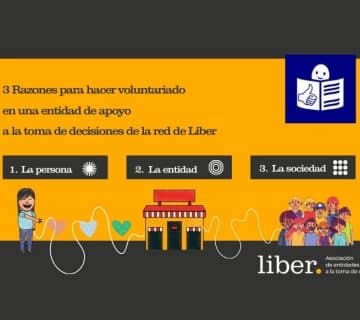 Vol en web 360x320