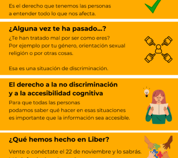 Accesibilidad y no discriminacion 360x320
