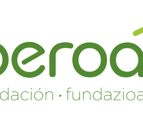 Fundación Beroa web
